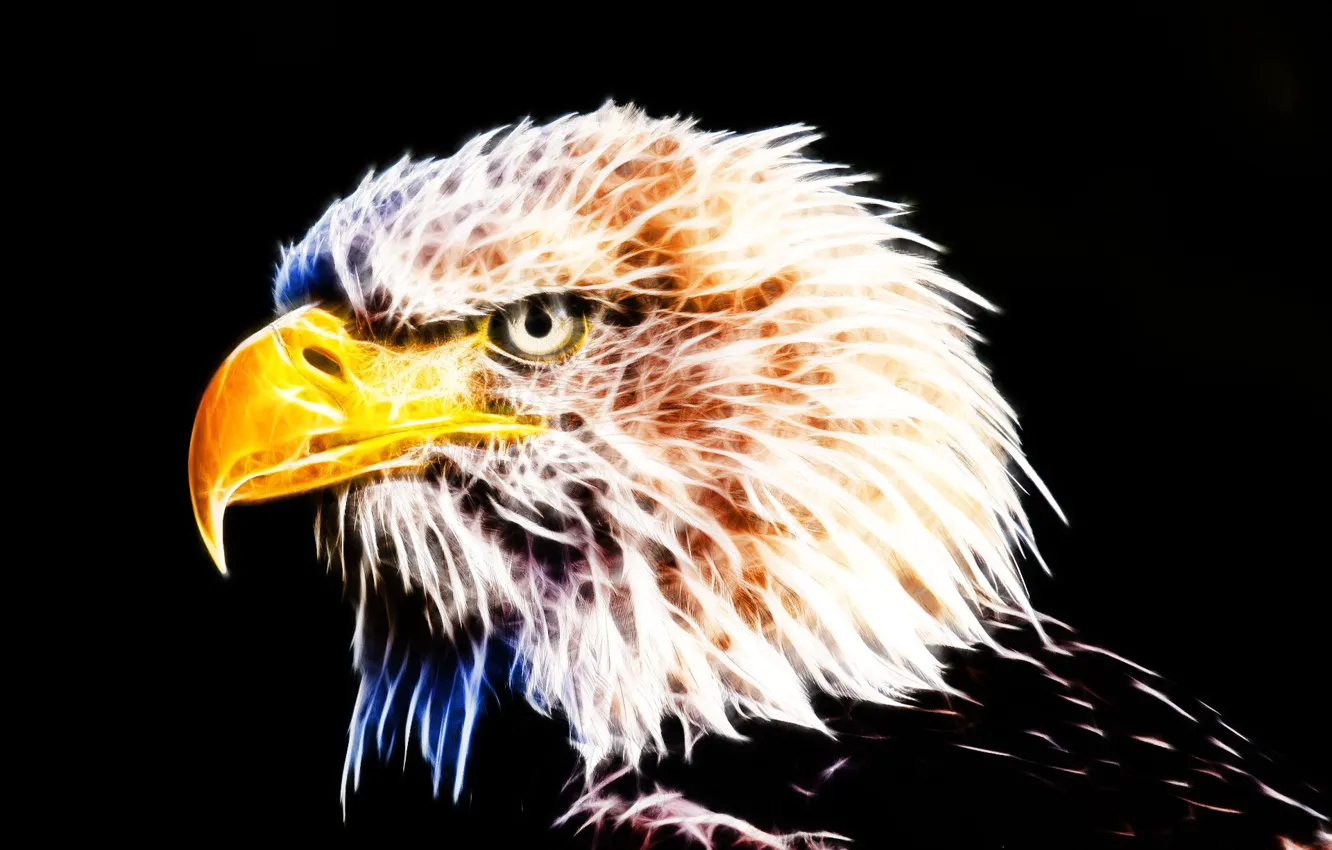 Фото обои eagle, fractal, fractal art