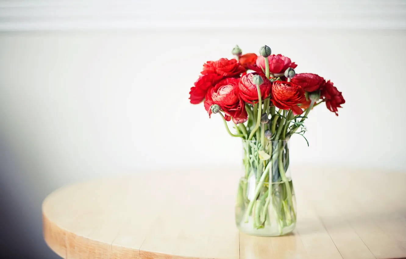 Фото обои цветы, букет, ваза, бутоны, ранункулюс, азиатский лютик