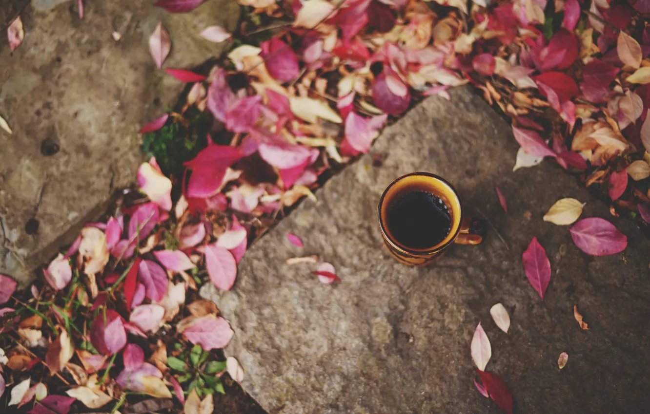 Фото обои осень, листья, кружка, чашка, красные
