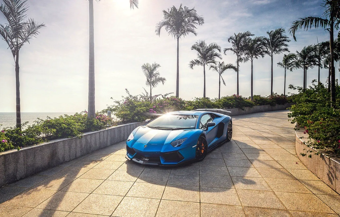 Фото обои солнце, пальмы, Синий, Lamborghini, Aventador, lp700-4