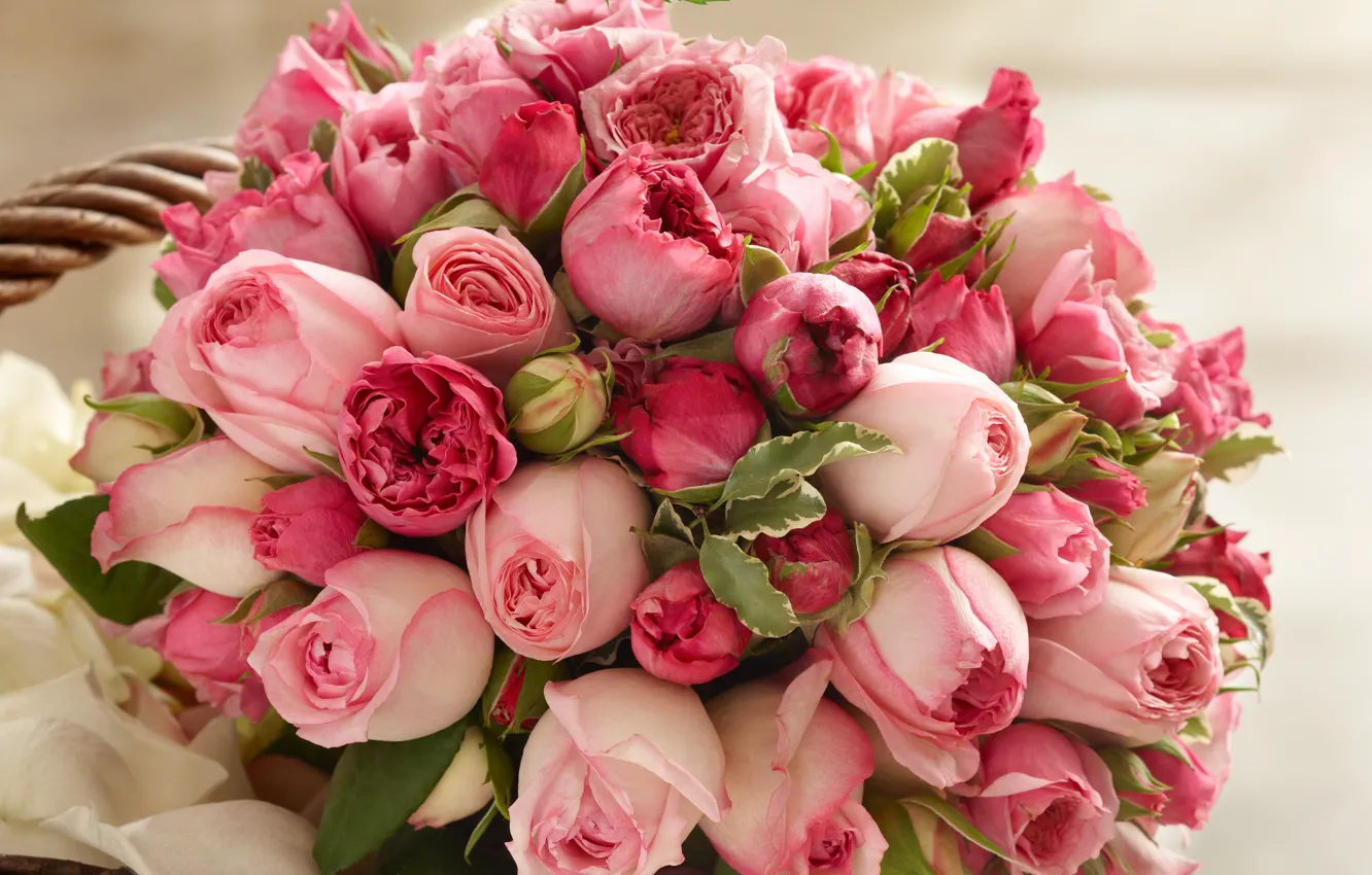 Фото обои розы, красота, букет, лепестки, розовые, бутоны, pink, Roses