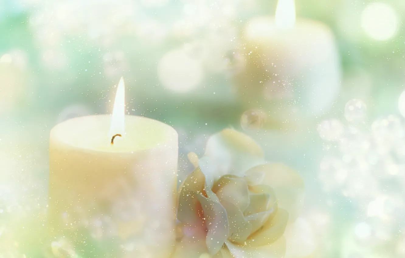 Фото обои снежинки, роза, свечи