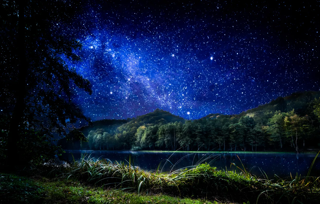 Фото обои лес, небо, трава, звезды, деревья, ночь, озеро, Хорватия