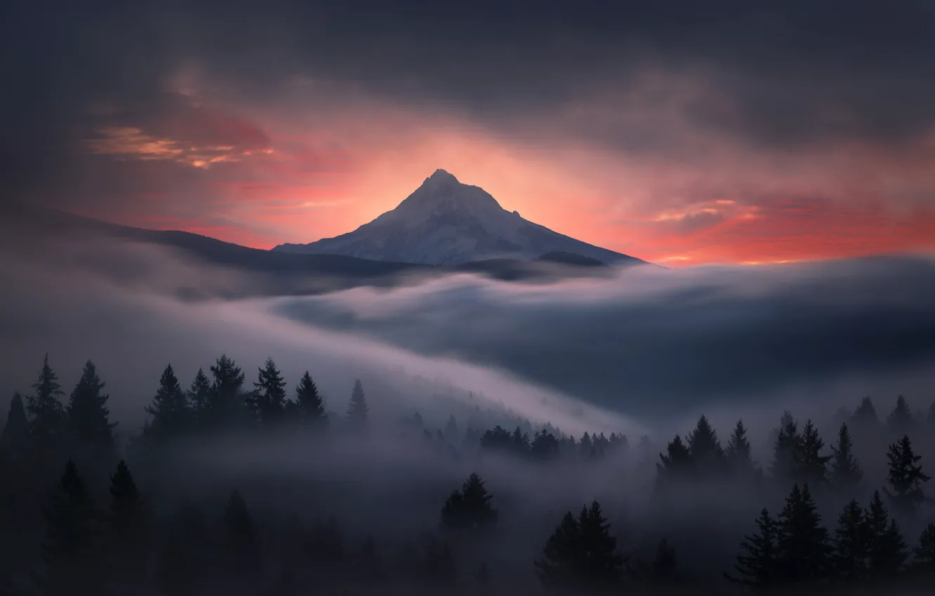 Фото обои лес, небо, горы, природа, туман, рассвет, утро, Oregon