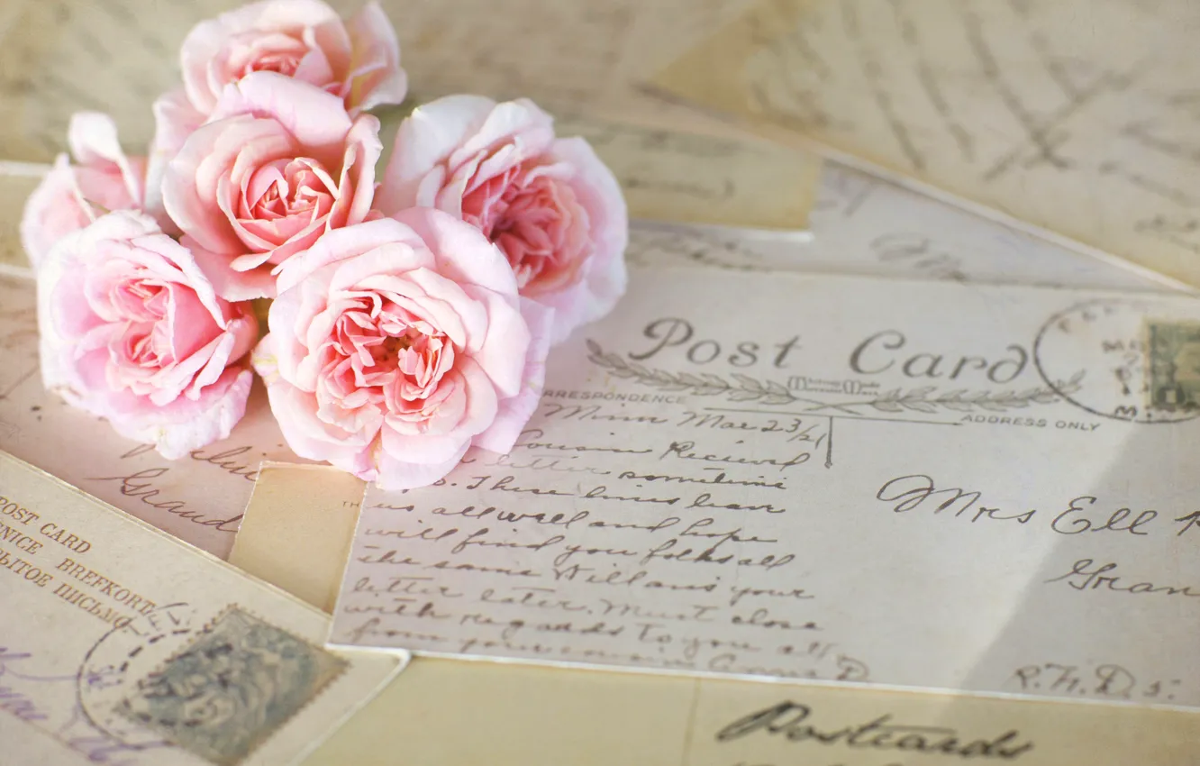 Фото обои цветы, розы, розовые, винтаж, письма, открытки