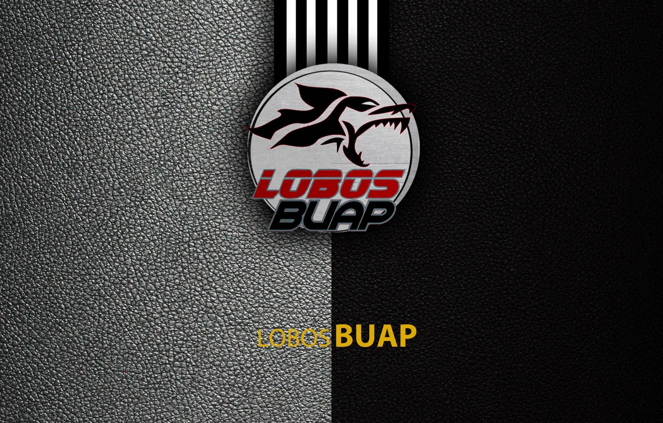 Фото обои wallpaper, sport, logo, football, Lobos BUAP