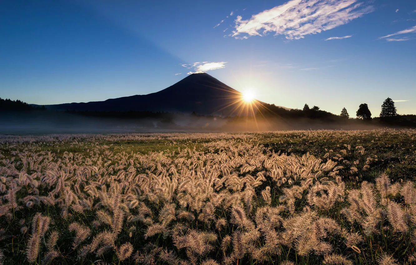 Фото обои поле, небо, трава, солнце, лучи, природа, гора, вулкан