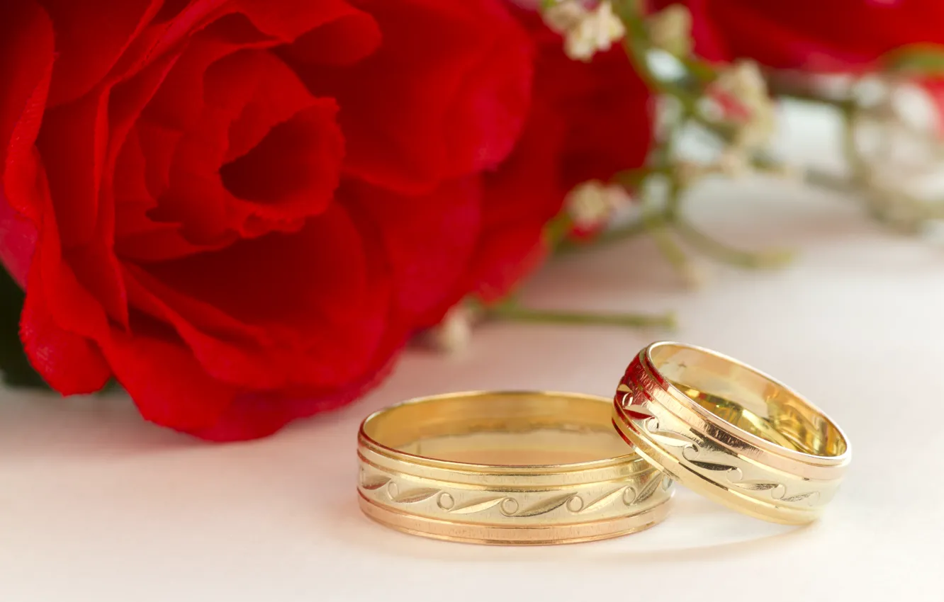 Фото обои цветы, розы, valentine's day