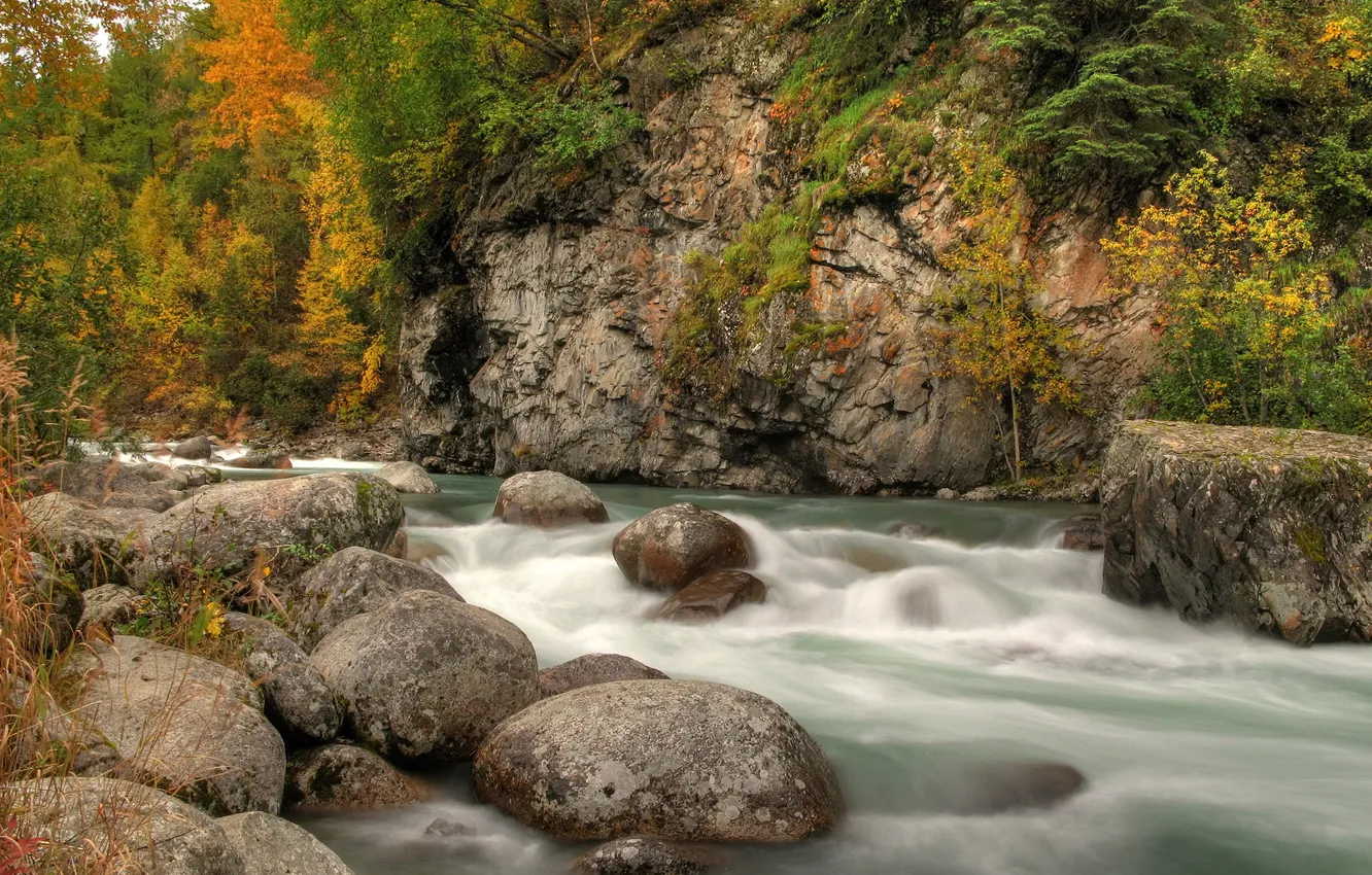 Фото обои осень, деревья, горы, река, камни, скалы, поток