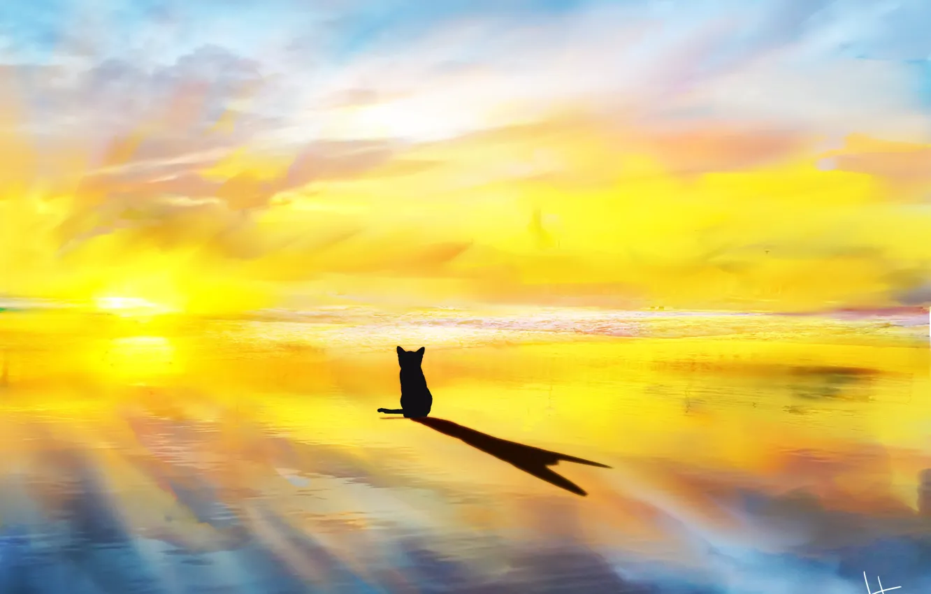 Фото обои море, кошка, солнечные лучи