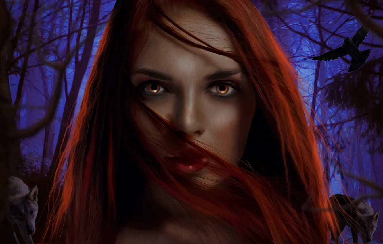 Фото обои лес, взгляд, девушка, лицо, рыжая