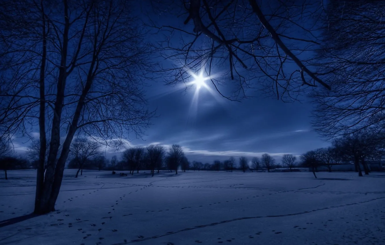 Фото обои зима, снег, ночь, природа