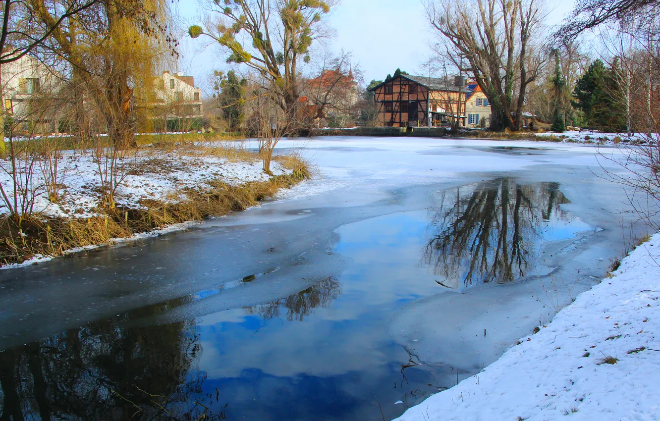 Фото обои ice, trees, water, park, winter, pond
