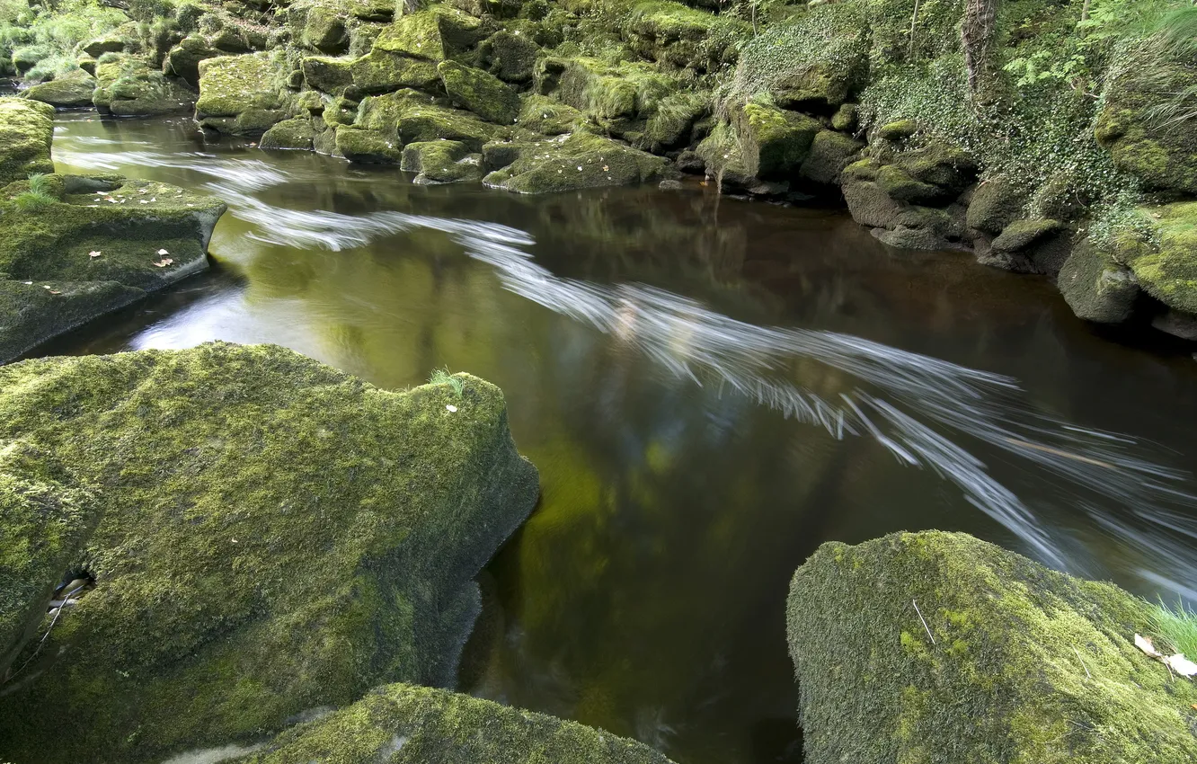 Фото обои природа, река, камни, мох