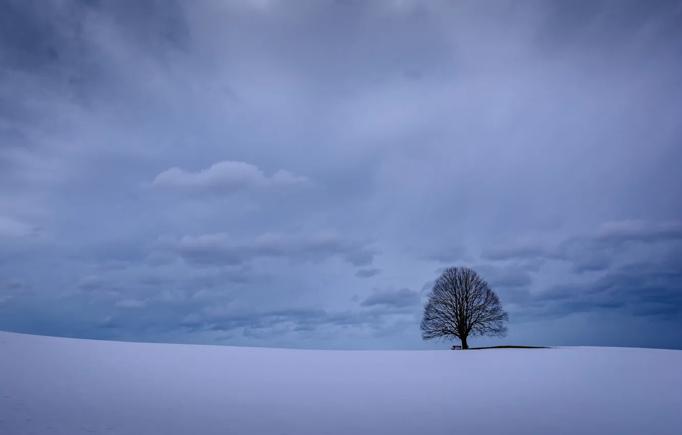 Фото обои зима, небо, облака, снег, дерево, Германия, Бавария