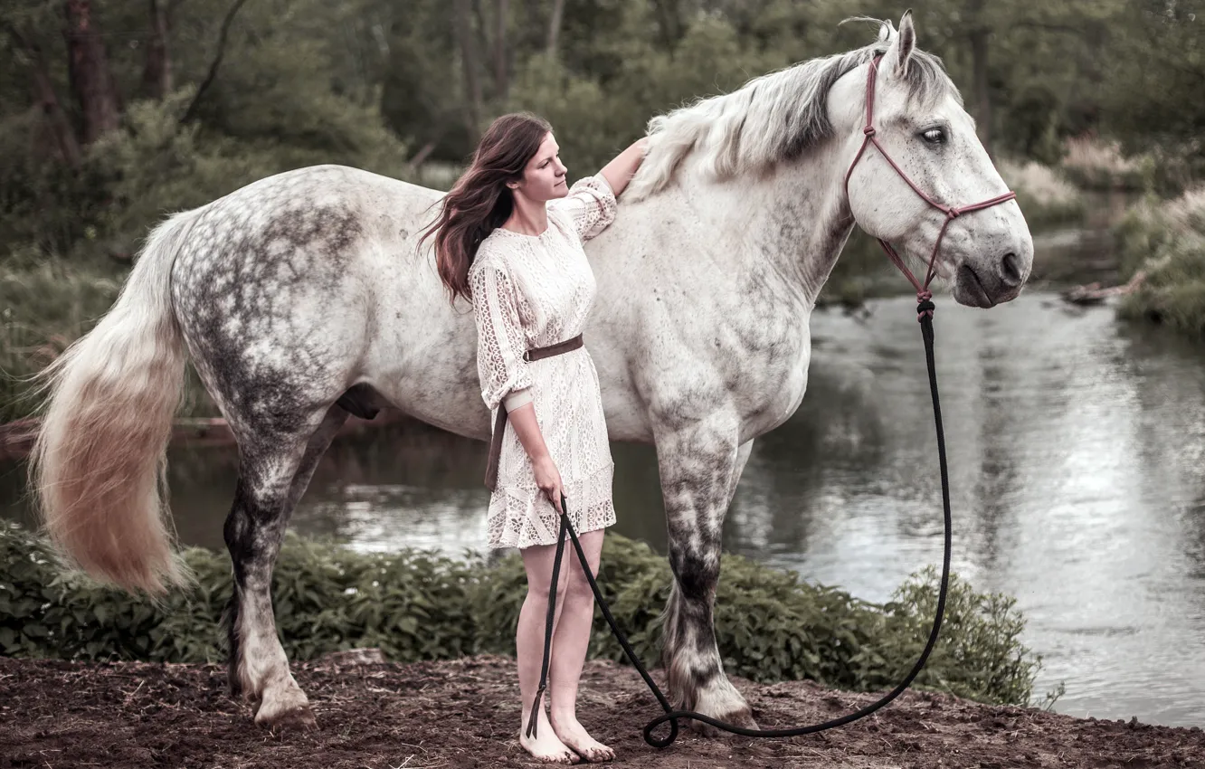 Фото обои девушка, река, конь