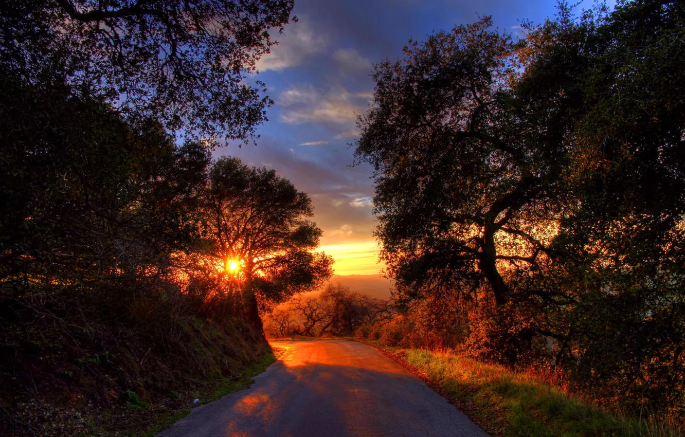 Фото обои дорога, солнце, деревья, закат, горы, тени