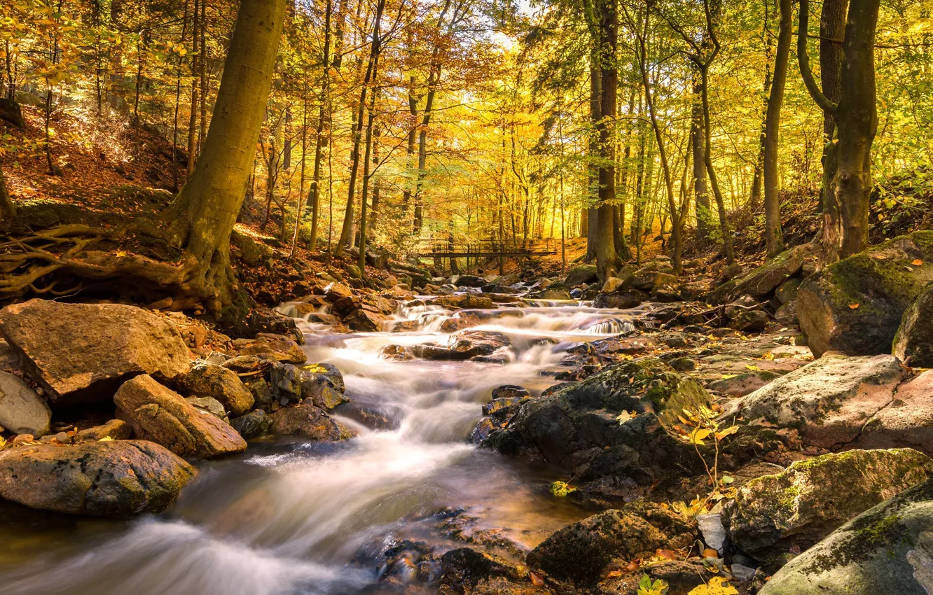 Фото обои осень, пейзаж, природа, река, поток