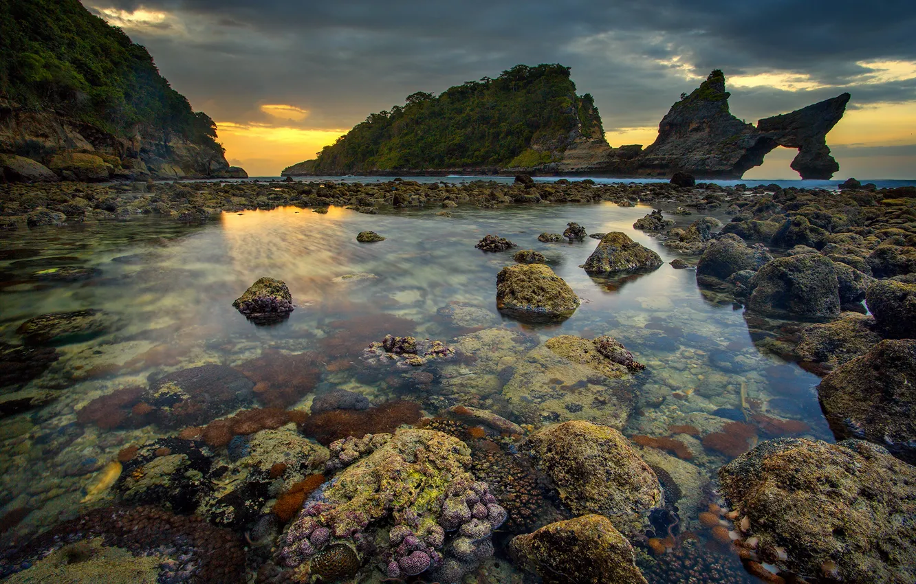 Фото обои море, скалы, отлив