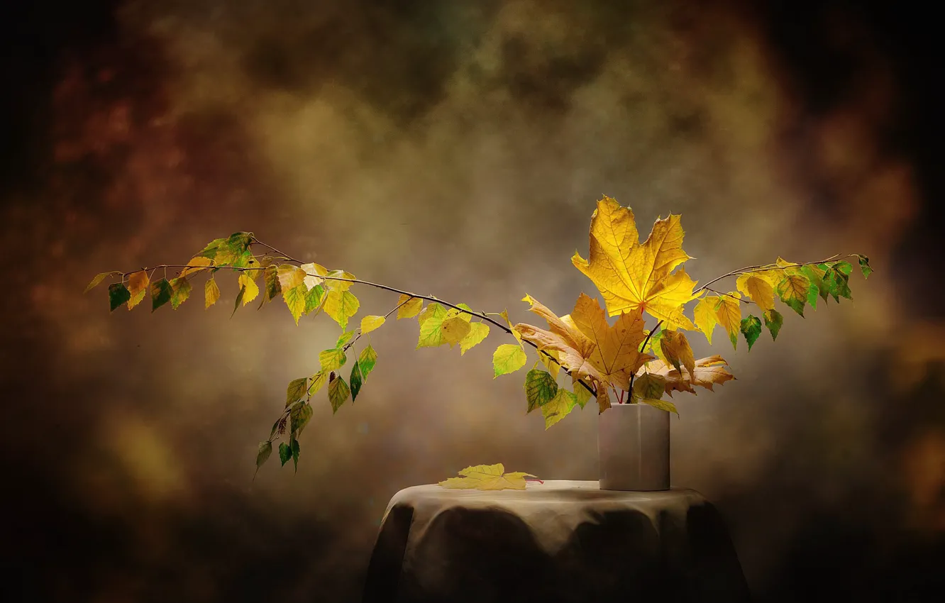 Фото обои осень, листья, ветки, ваза, клён, берёза, столик, still life