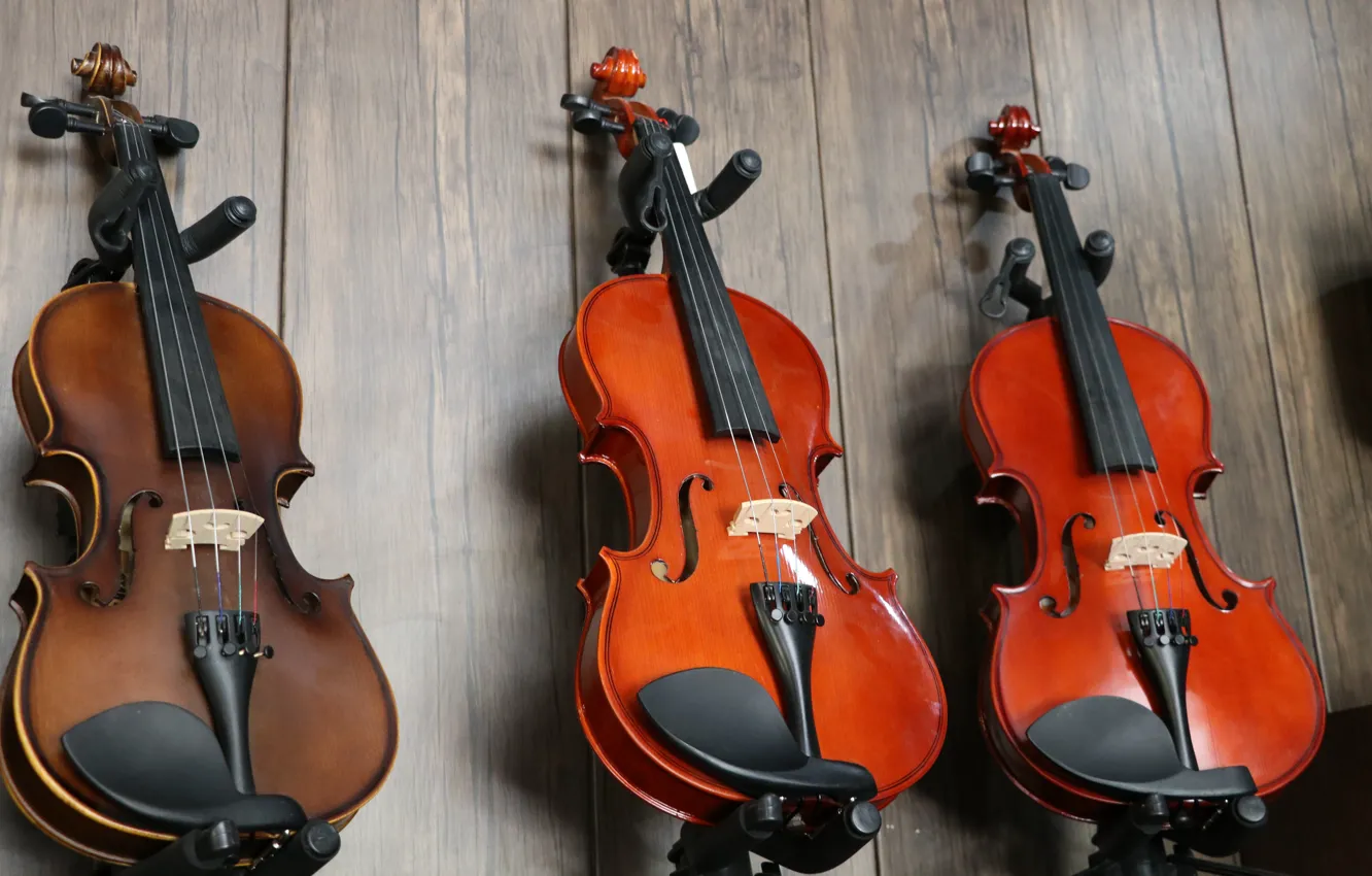 Фото обои Music, Violin, Instrument, Mohammadreza