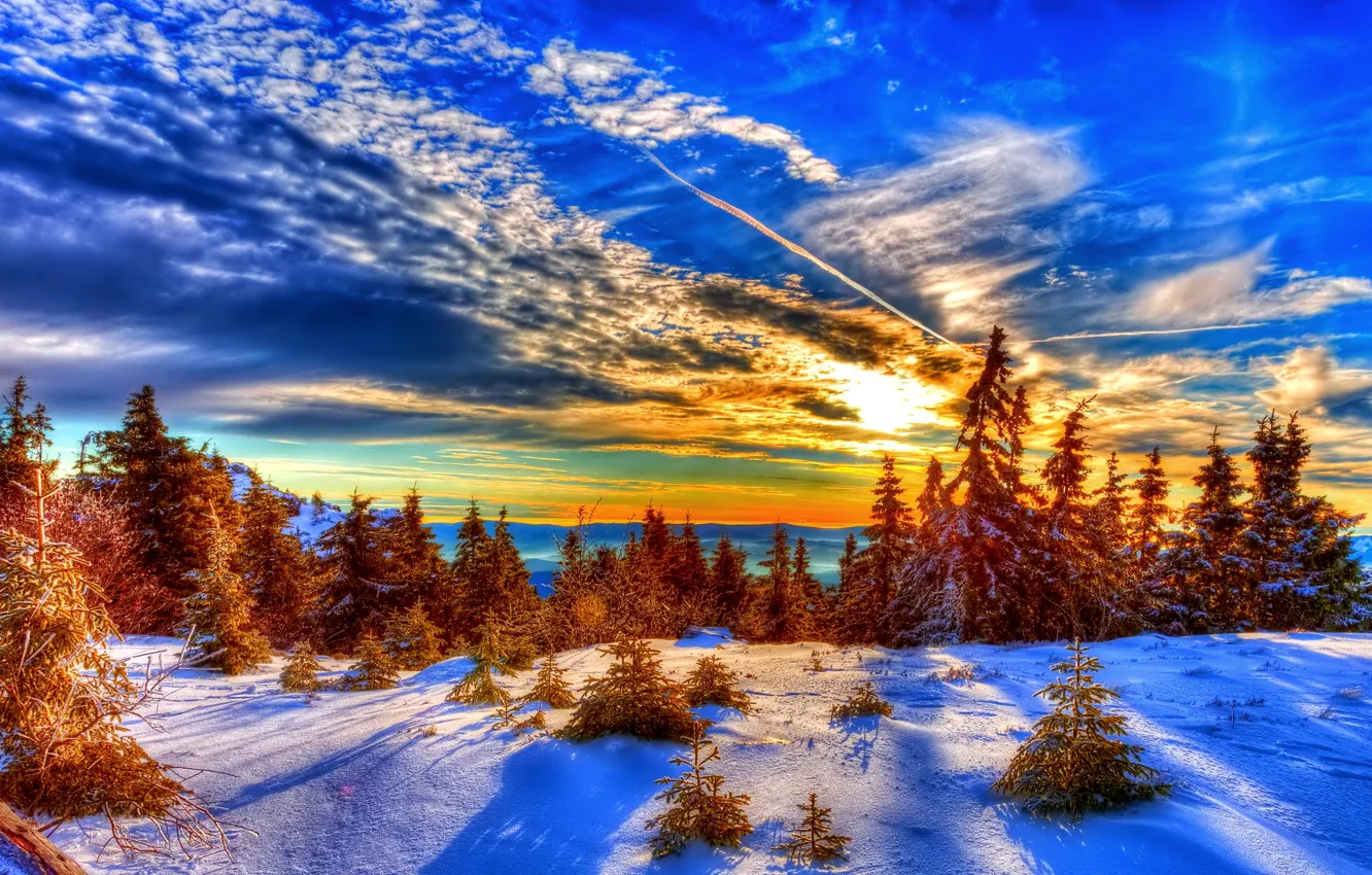 Фото обои зима, лес, небо, облака, снег, деревья, закат, ель
