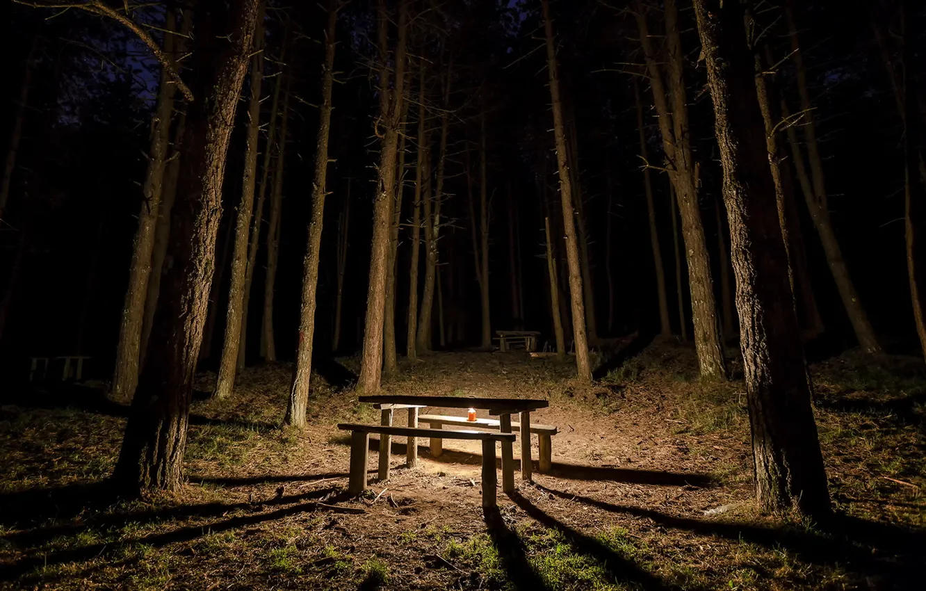 Фото обои лес, ночь, стол, свеча, скамья