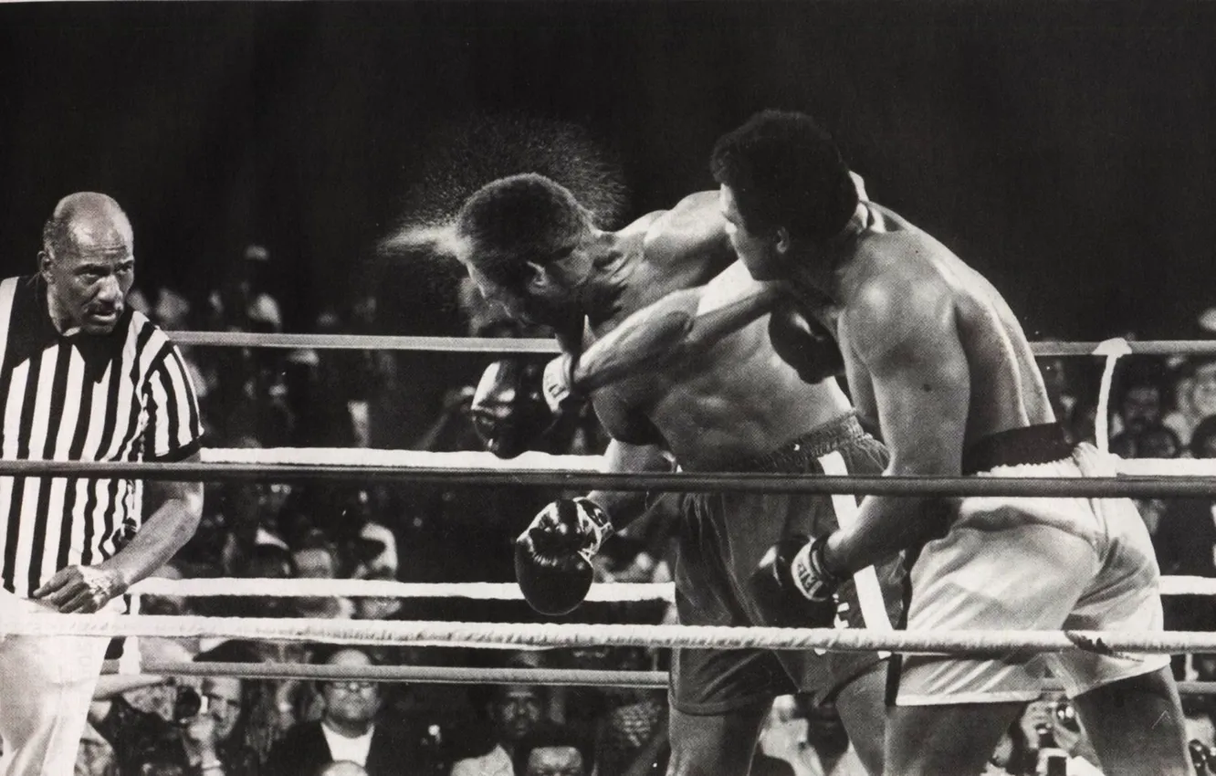 Фото обои Спорт, бокс, удар, Muhammad Ali, поединок