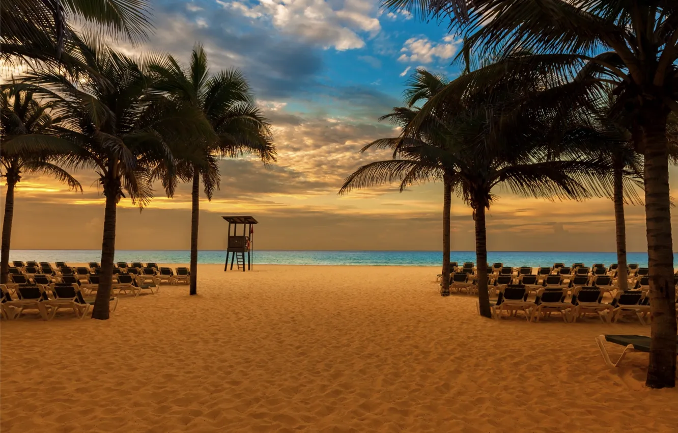 Фото обои песок, море, пляж, закат, пальмы, берег, beach, sea