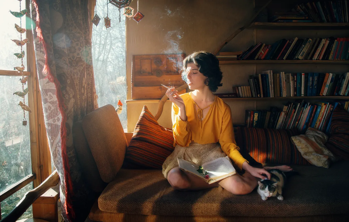 Фото обои кот, свет, поза, комната, модель, дым, книги, окно
