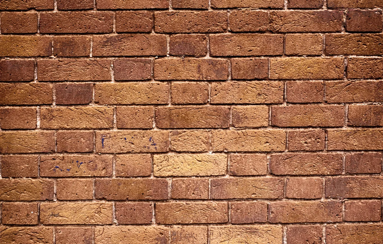 Фото обои wall, pattern, Bricks