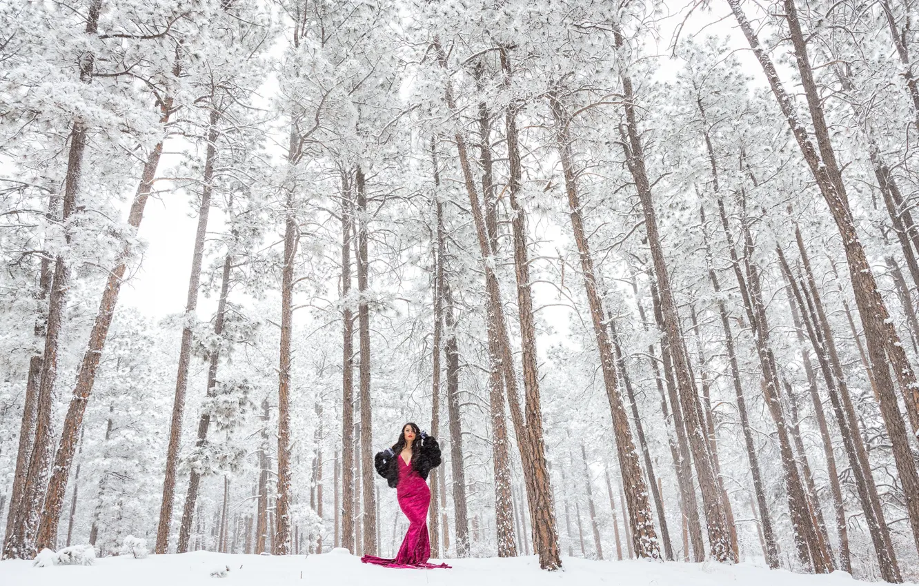 Фото обои зима, лес, девушка, снег, деревья, лицо, фигура, платье
