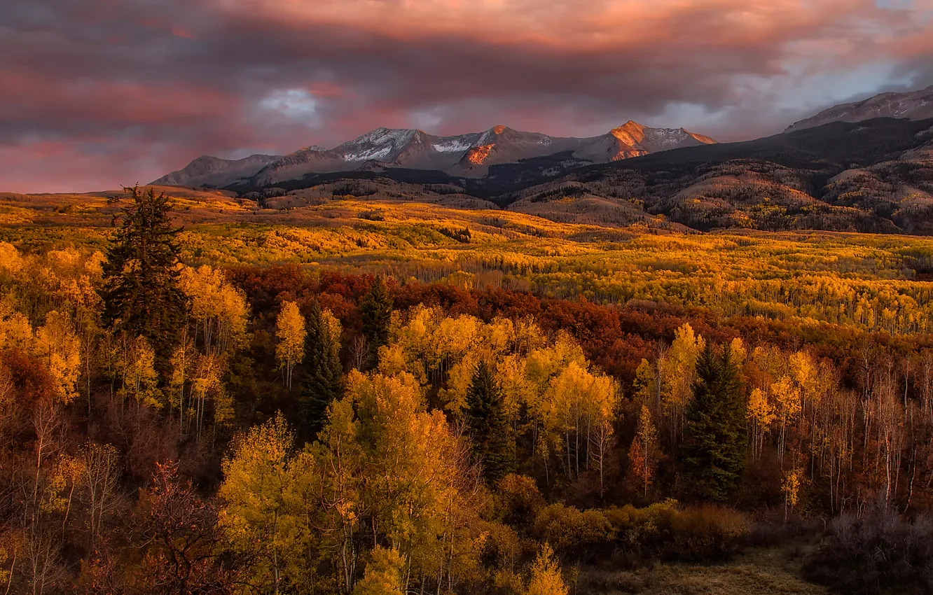 Фото обои осень, деревья, горы, Golden Glow