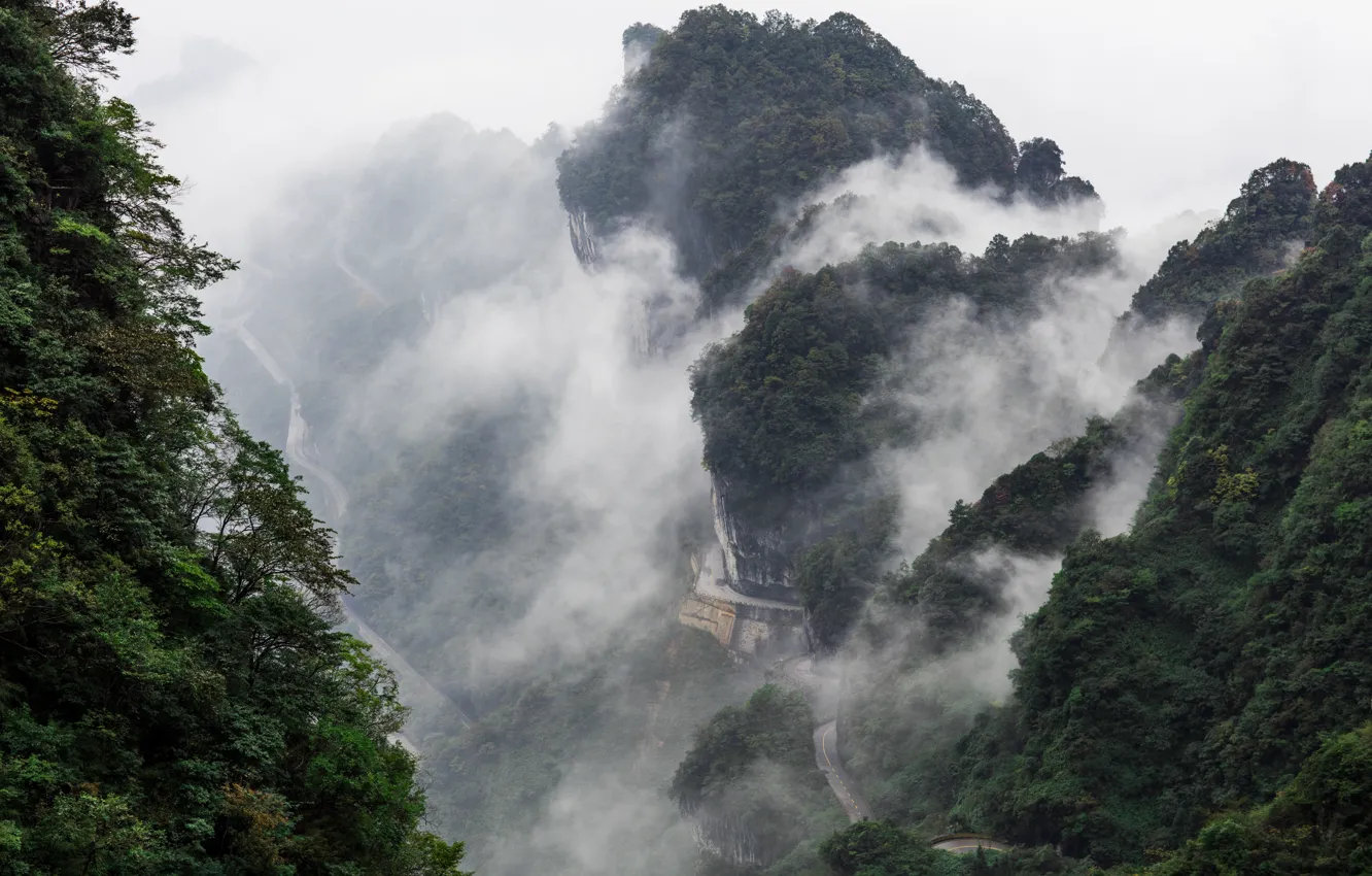 Фото обои дорога, лес, облака, деревья, горы, туман, растительность, изгибы