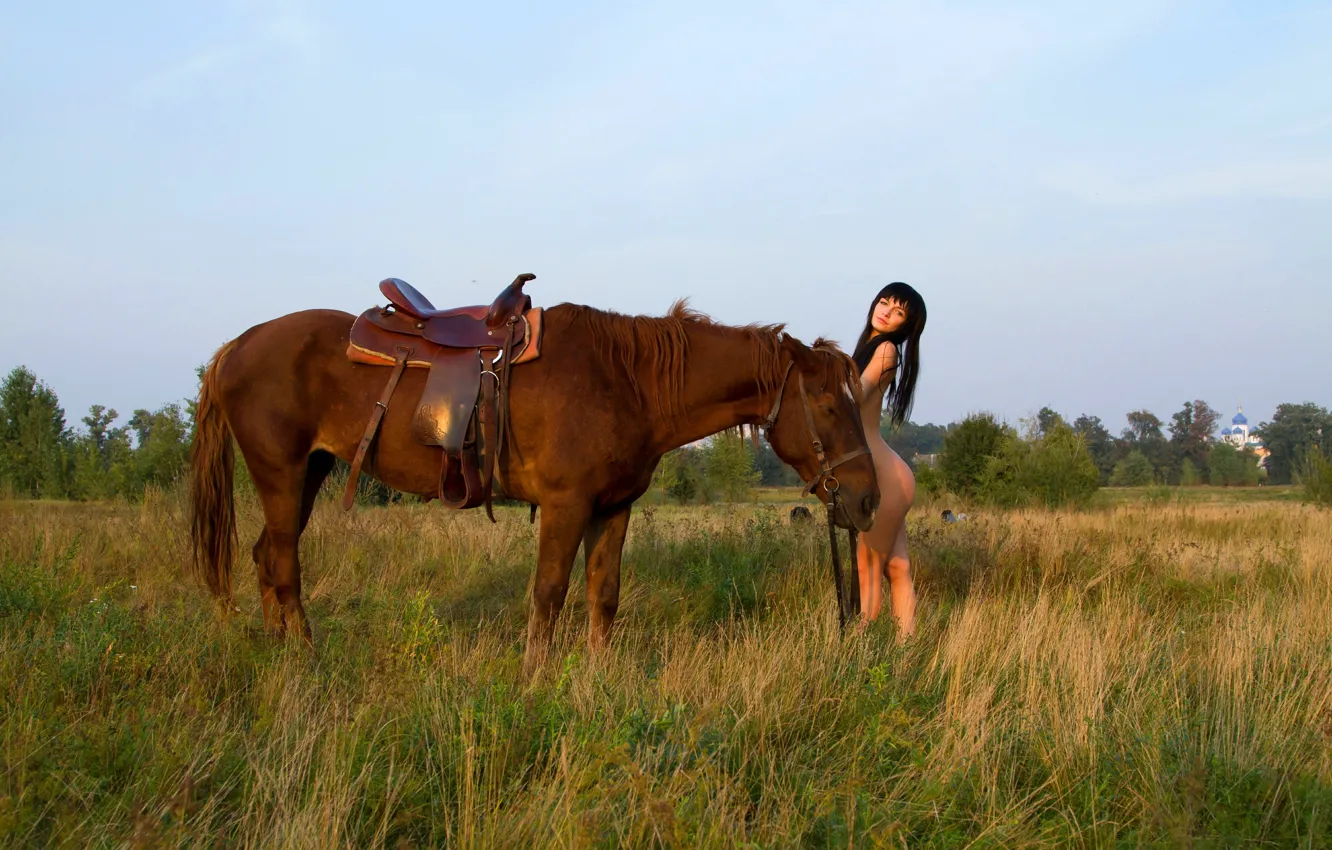 Фото обои поле, трава, лошадь, рыжая, седло, упряжь