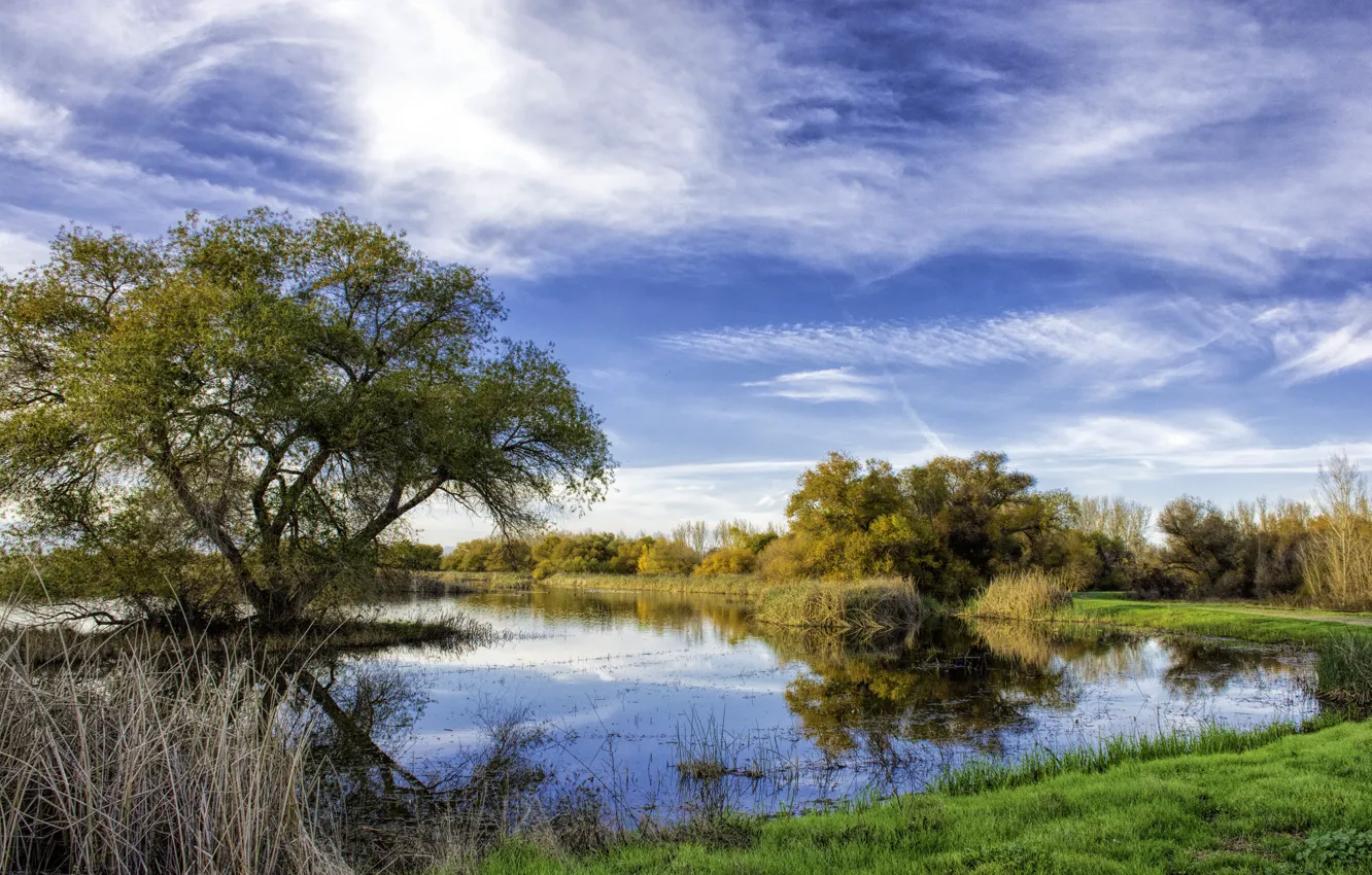 Фото обои осень, небо, трава, облака, деревья, озеро, пруд
