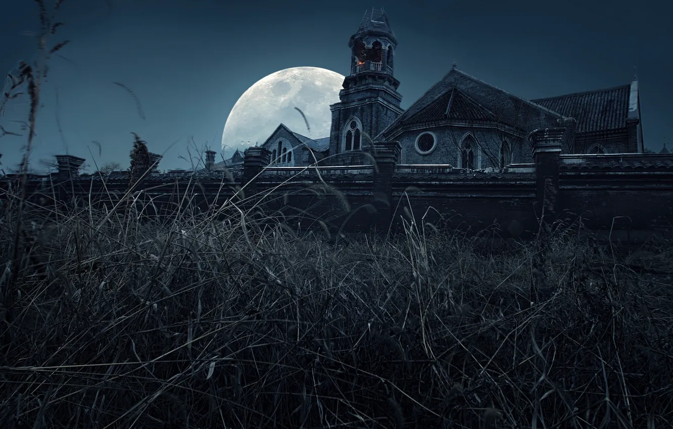 Фото обои ночь, монастырь, полная луна