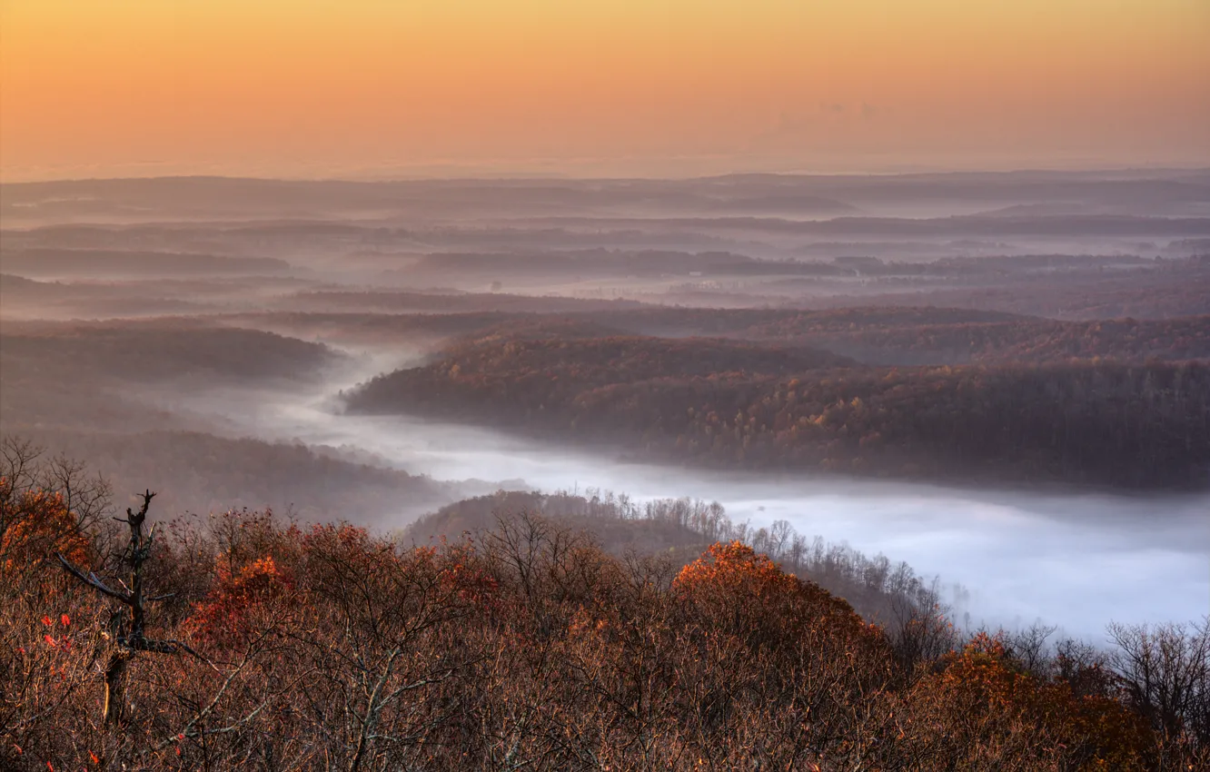 Фото обои осень, лес, река, США, ланшафт, Теннесси, Кроссвилл