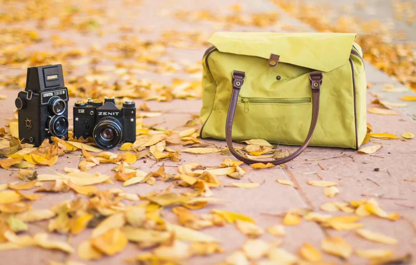 Фото обои fashion, vintage, road, photography, bag, autum