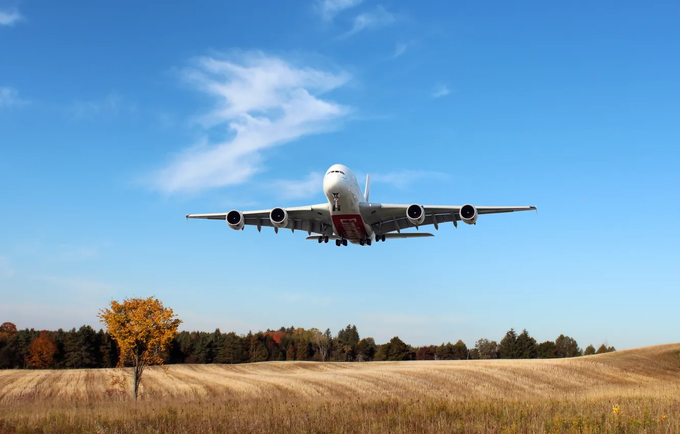 Фото обои Небо, Поле, Белый, Самолет, Деревья, День, A380, Посадка
