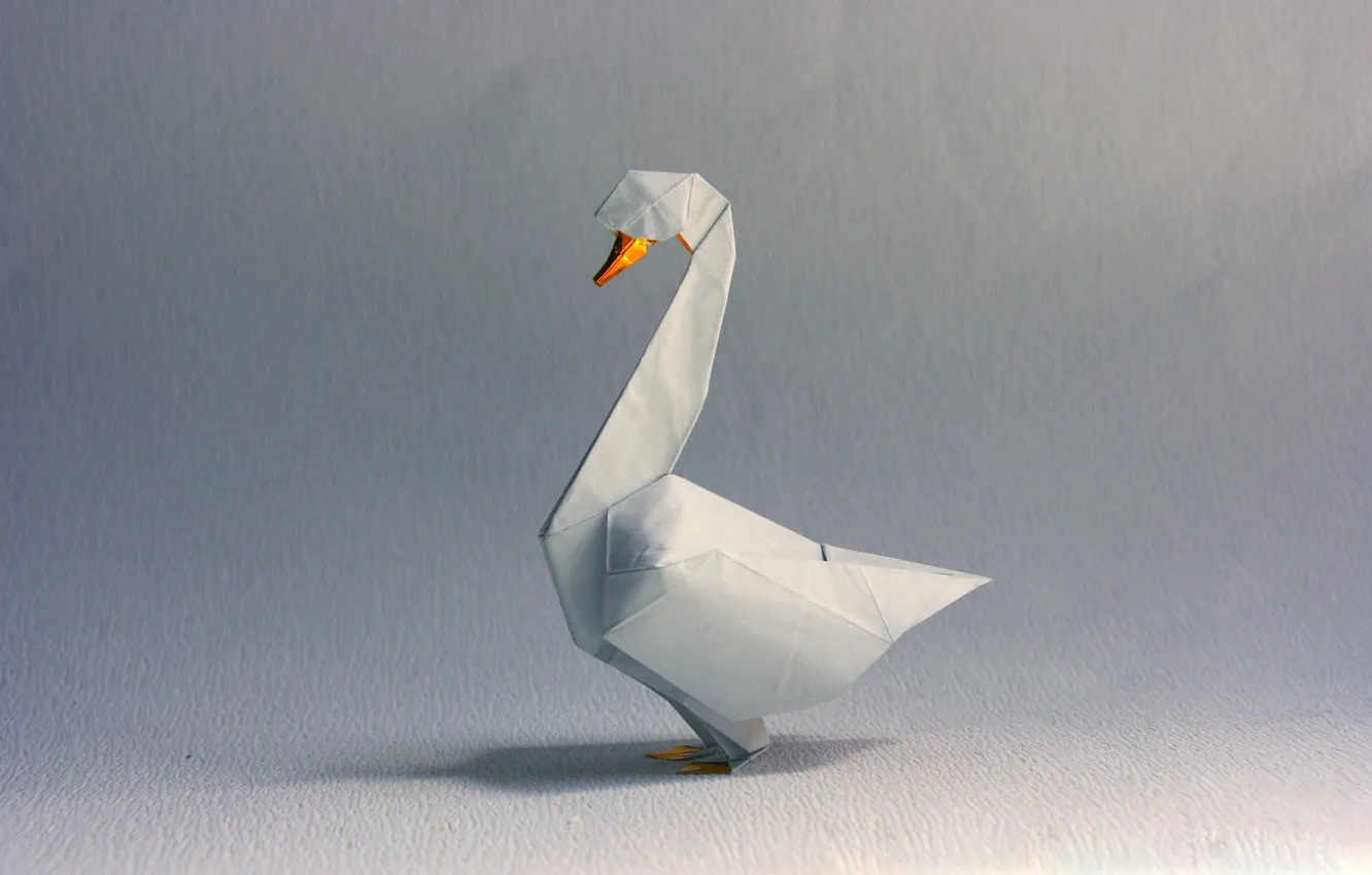 Фото обои белый, серый, тень, лебедь, white, swan, оригами, origami