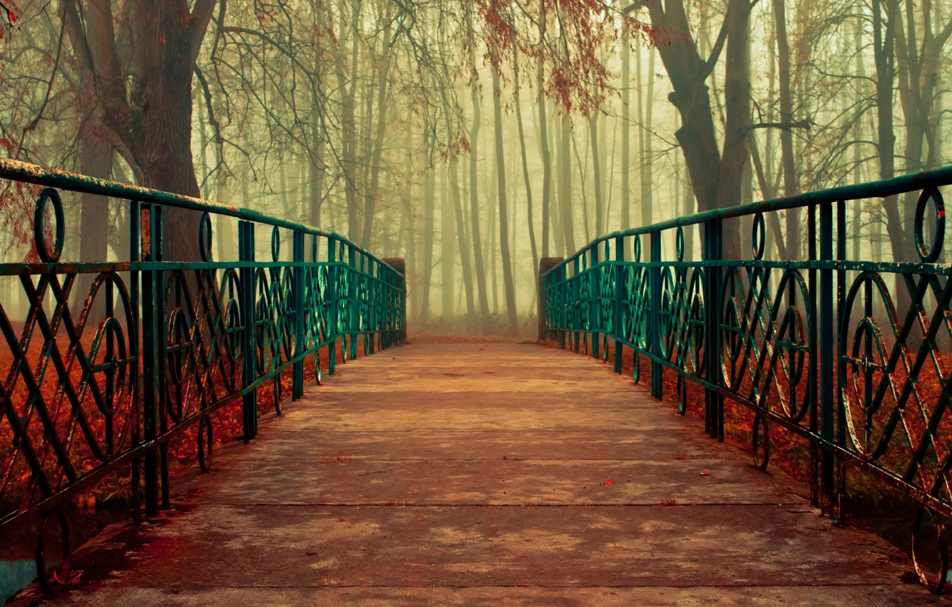 Фото обои осень, листья, деревья, мост, природа, поручни