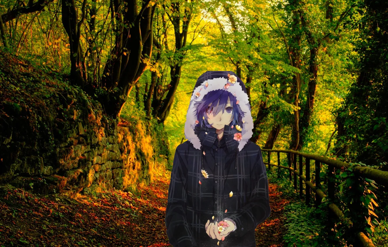 Фото обои Природа, парень, аниме арт, осень в лесу, аниме парень, аниме кун