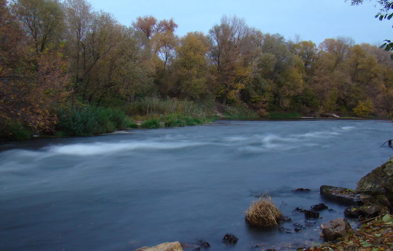 Фото обои осень, вода, река, камни, поток, течет