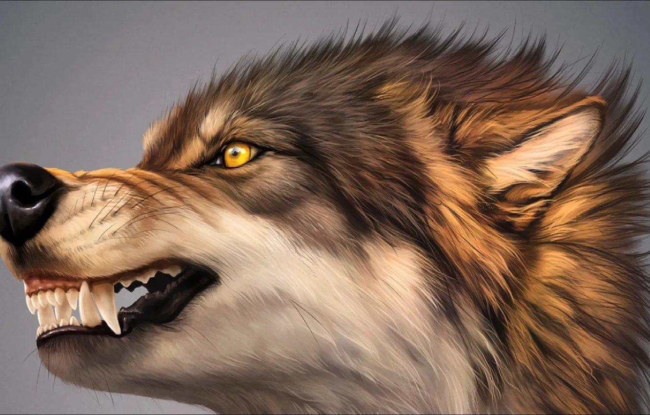 Фото обои рисунок, волк, портрет, арт, оскал, Art, wolf, picture