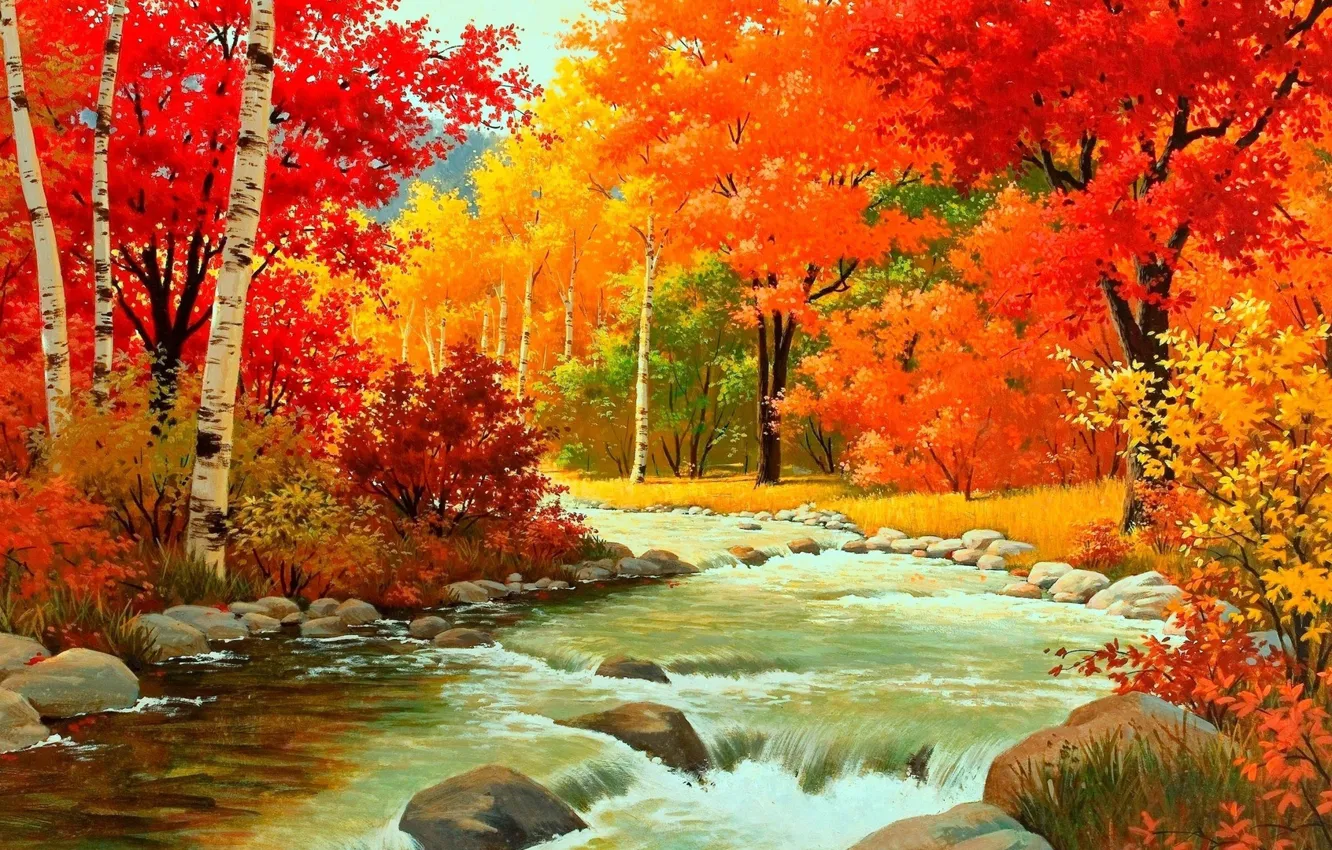 Фото обои лес, ручей, Осень