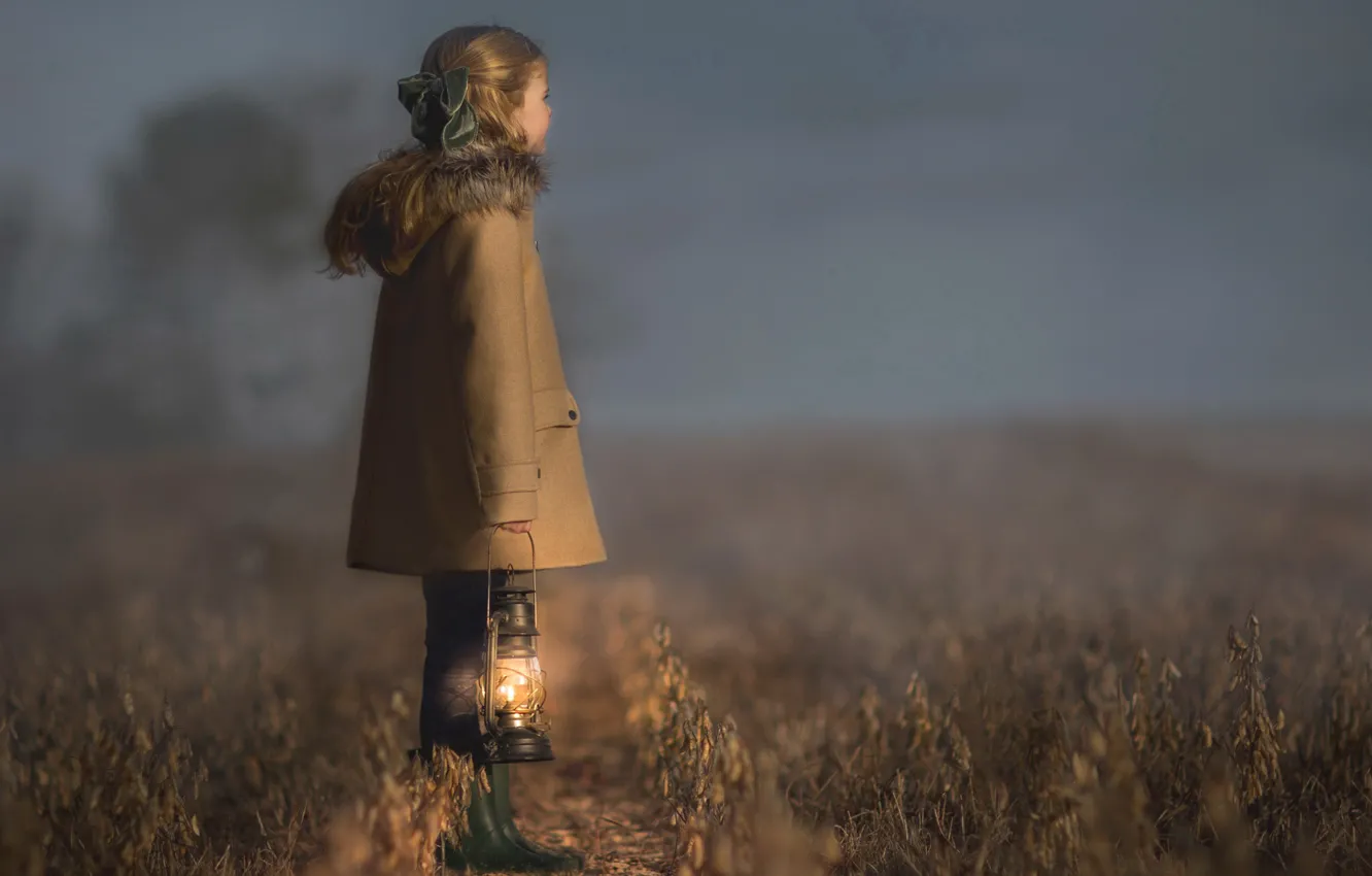 Фото обои поле, туман, лампа, девочка