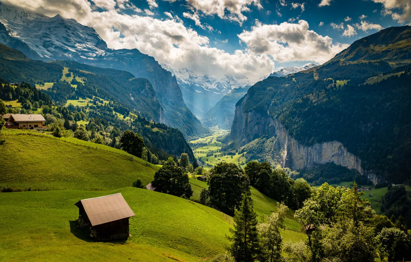 Фото обои лес, облака, горы, туман, склон, Альпы, домик