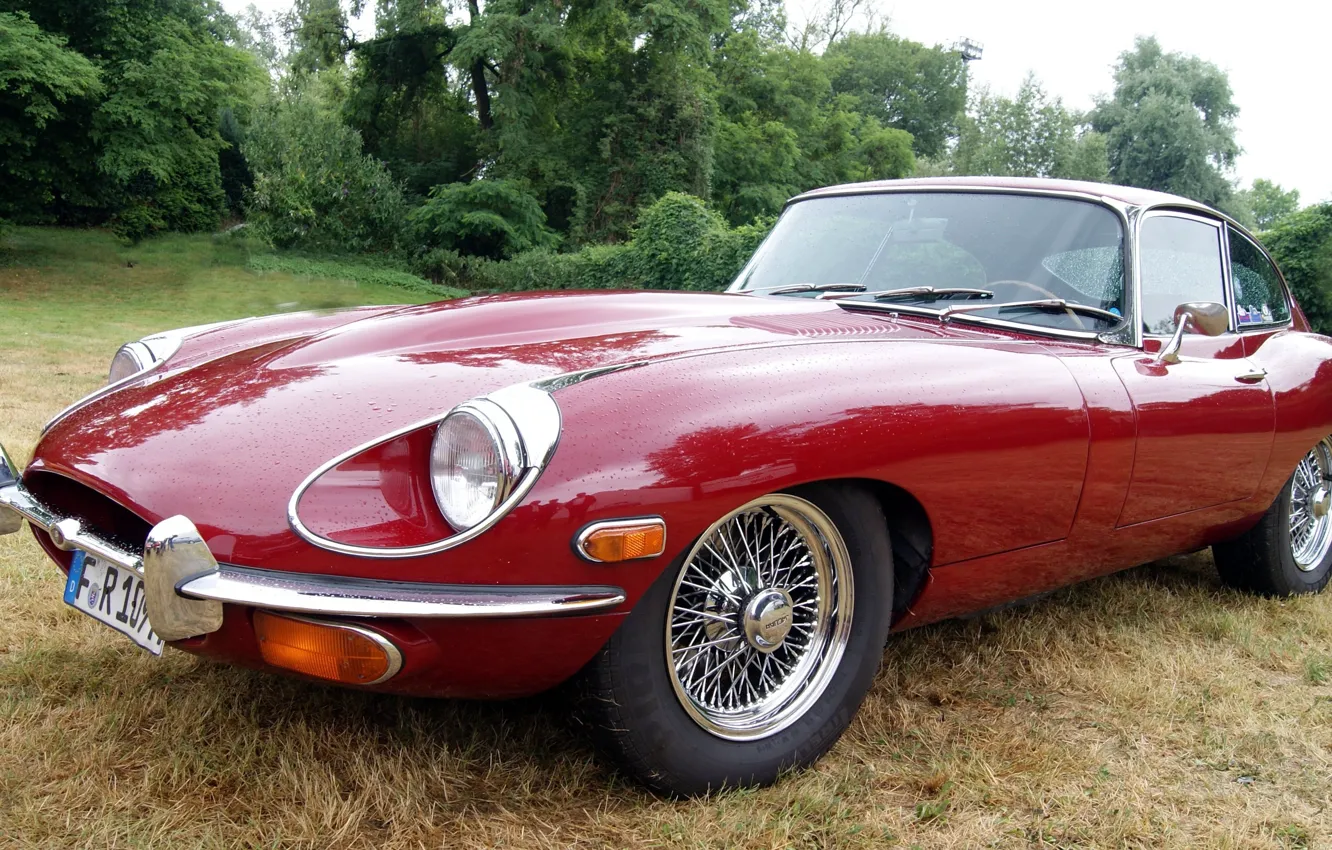 Фото обои car, speed, cool, jaguar e type