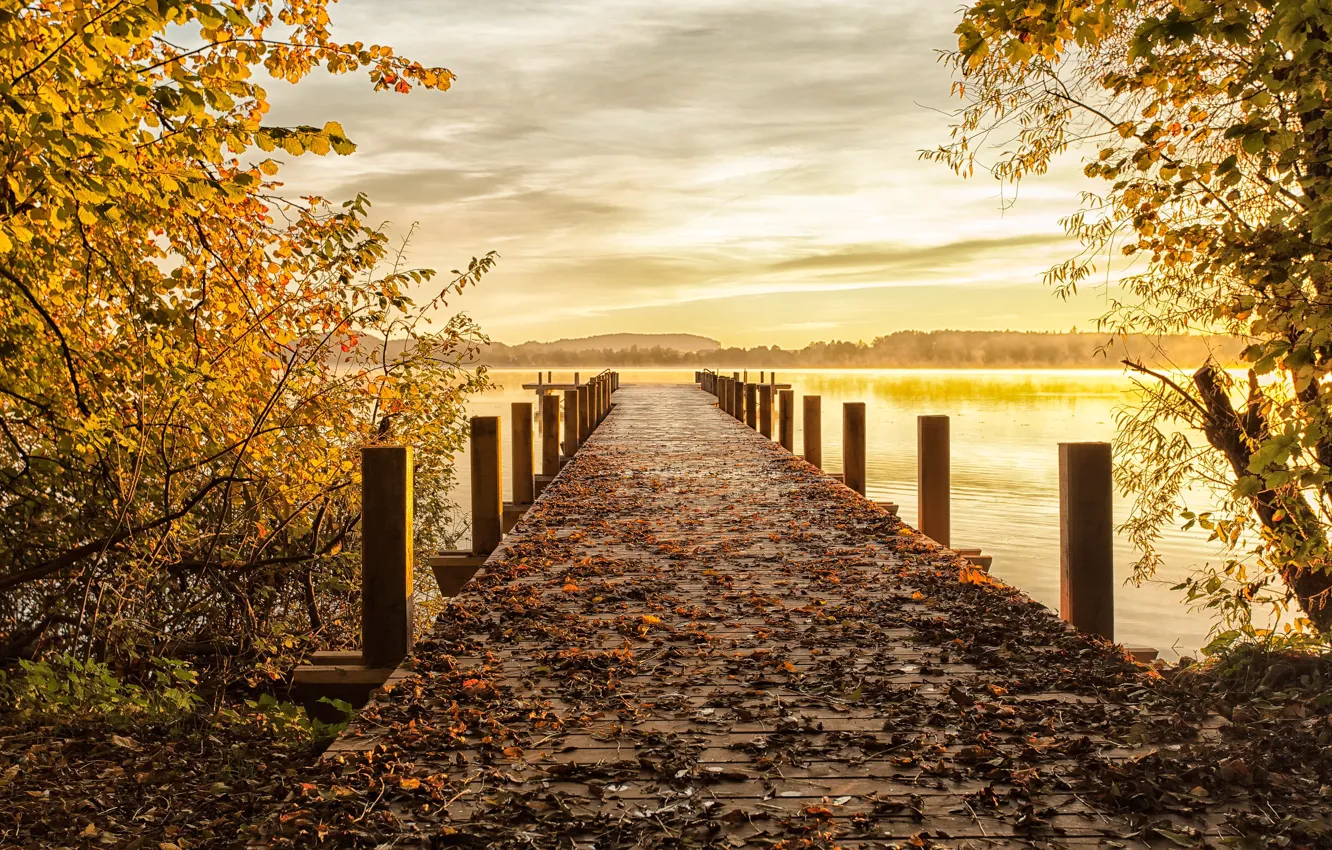 Фото обои осень, мост, природа, озеро